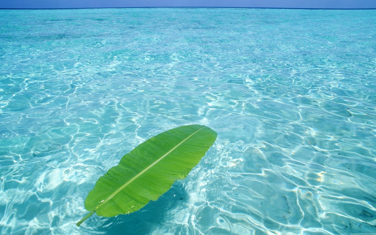 Прозрачная вода