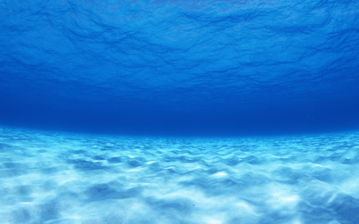 Морское дно