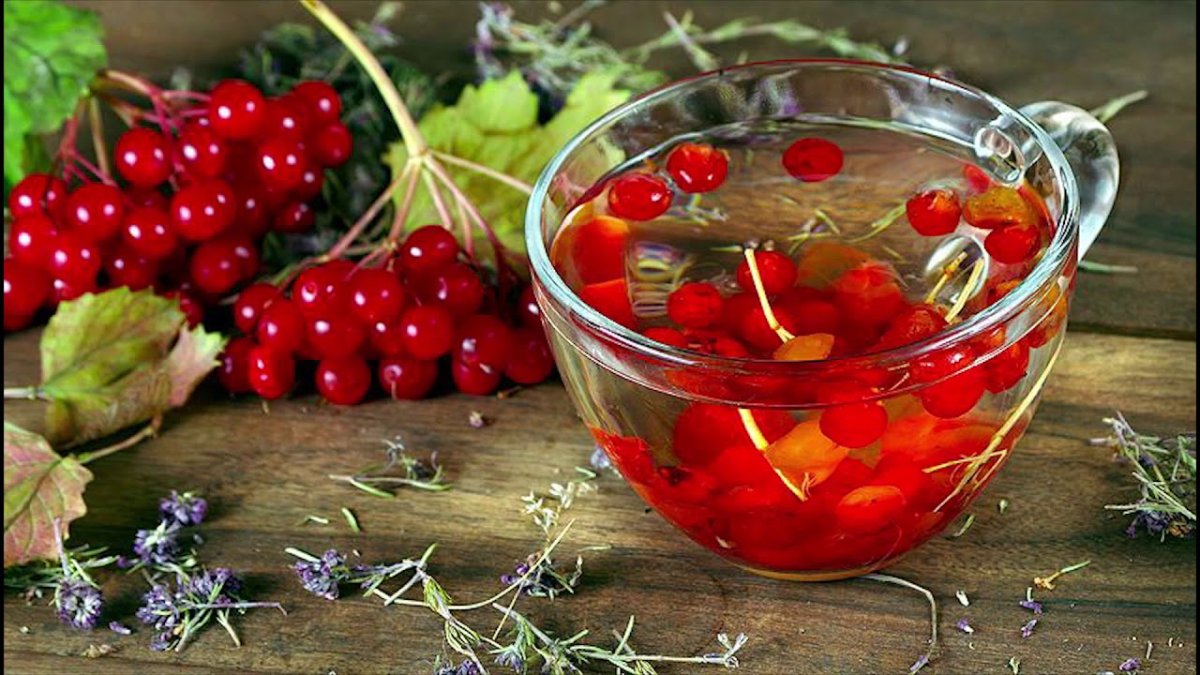 Настой из калины