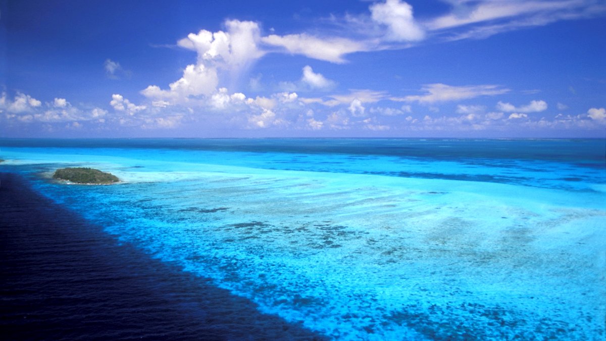 Карибское море море