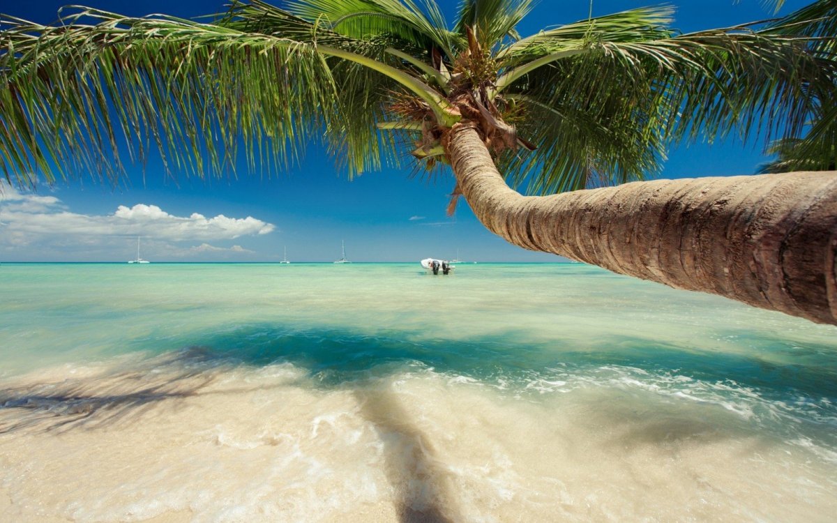 Карибское море Доминикана