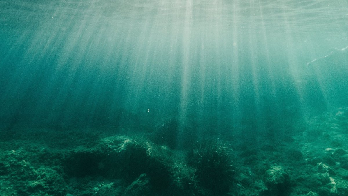 Над водой и под водой