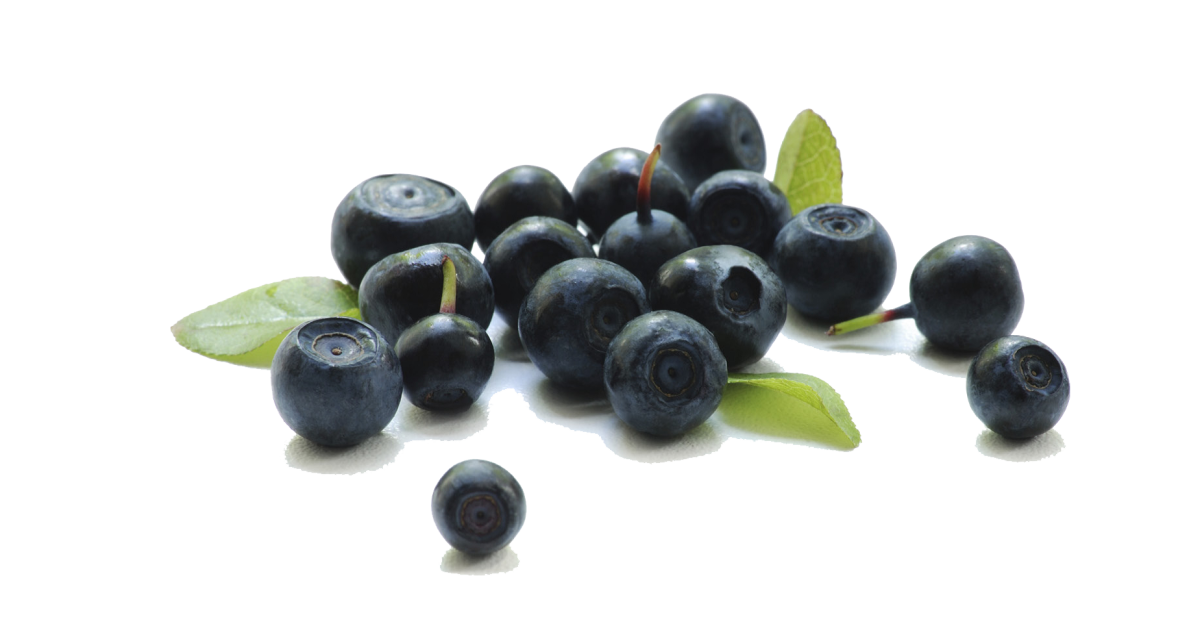 Blueberry & Acai Berry