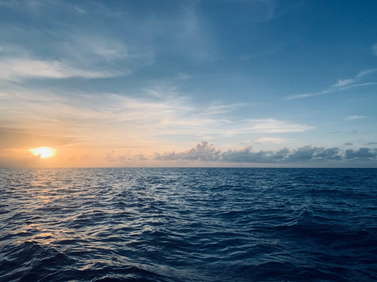 From the Ocean