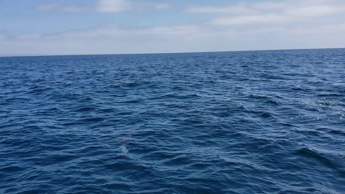 Воды Атлантики
