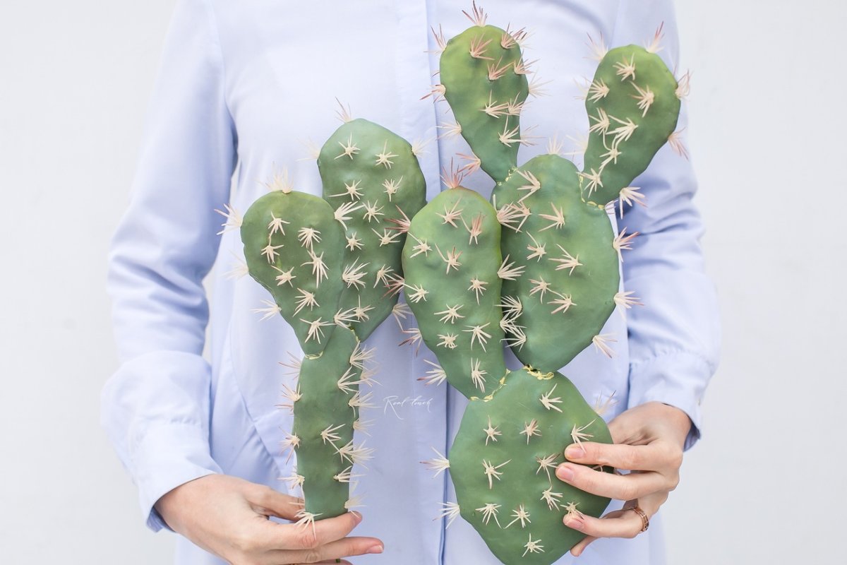 Real Cactus