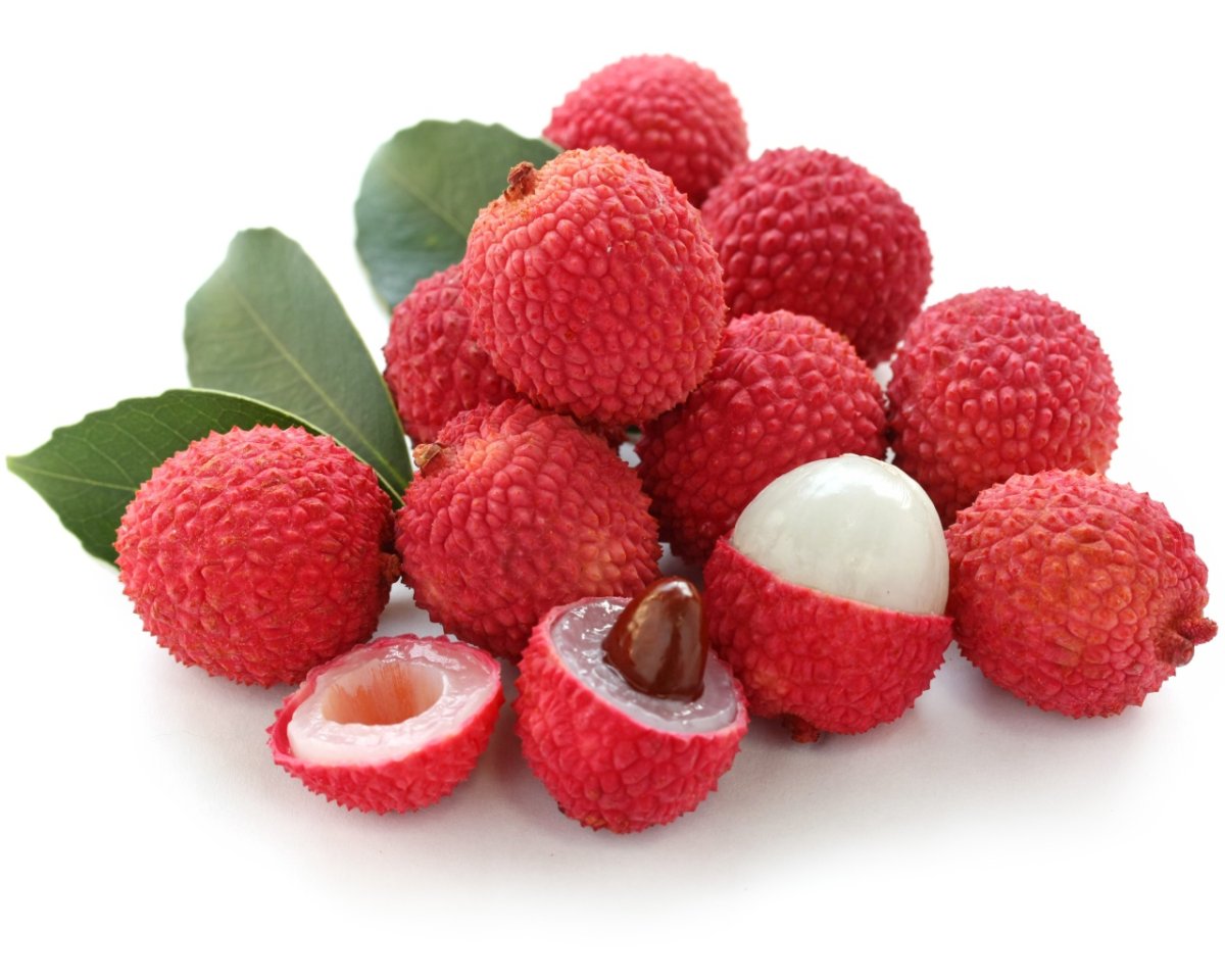 Litchi chinensis