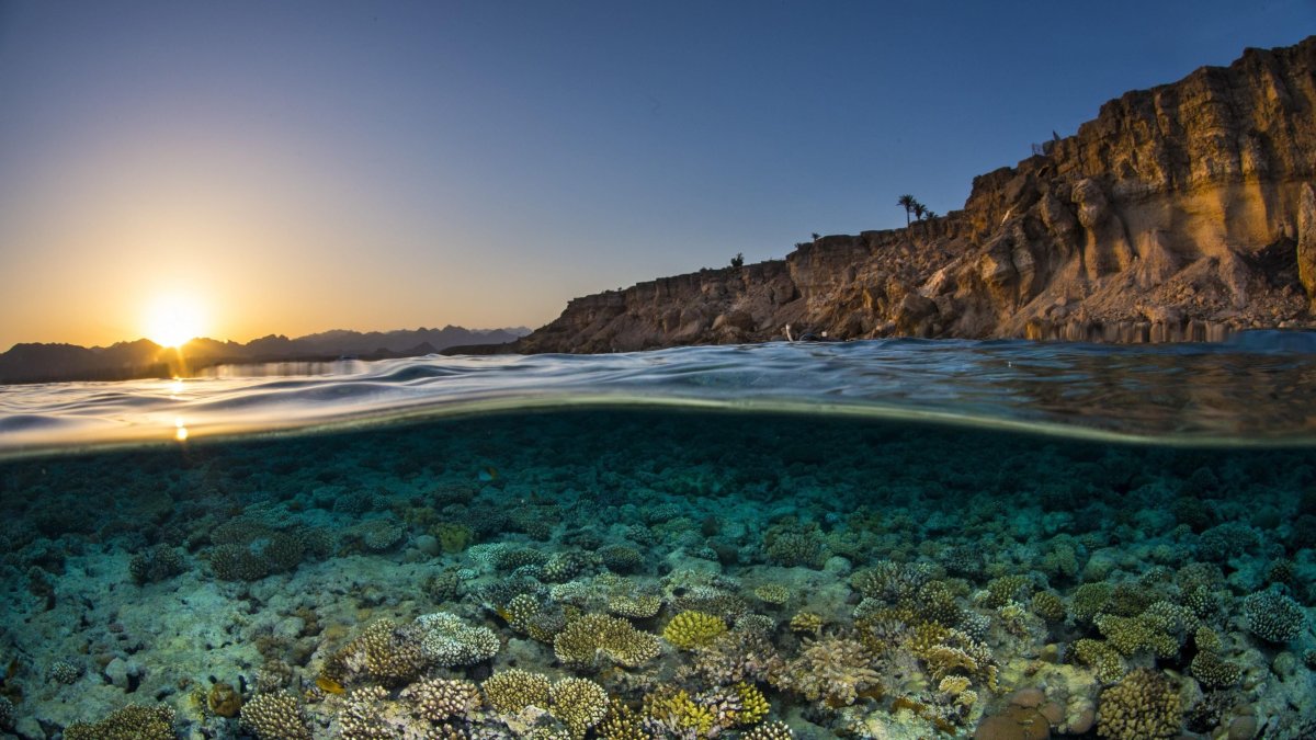 Прозрачная вода море