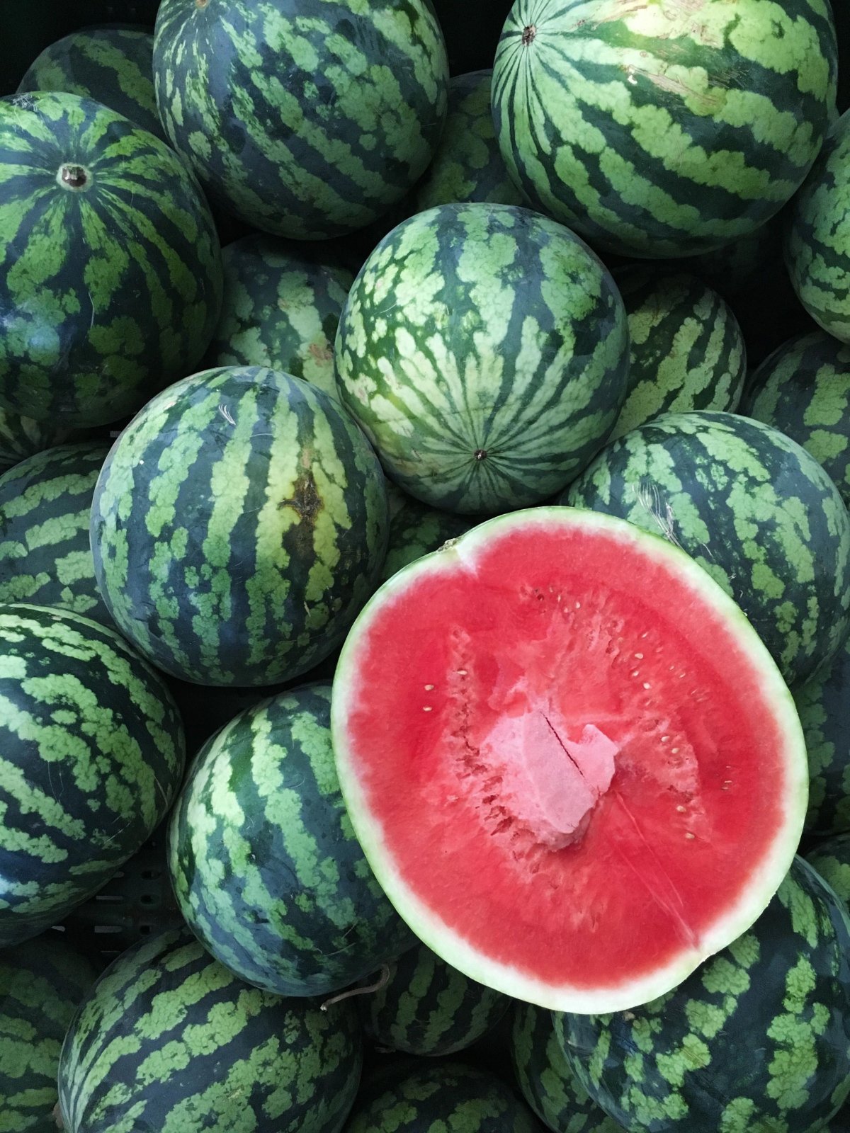 Watermelon Арбуз