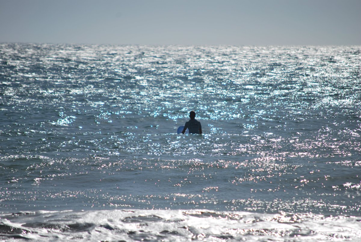 Море край воды