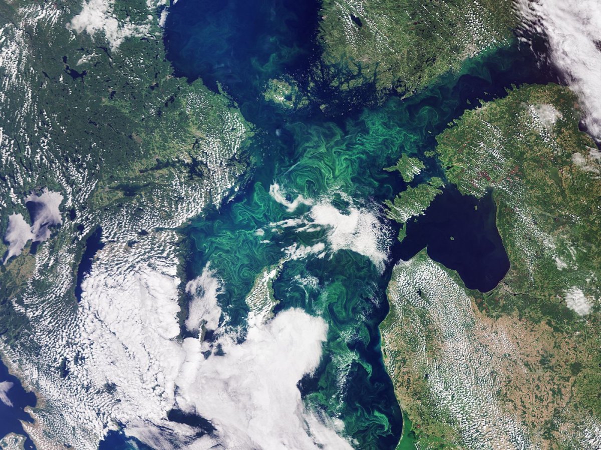 Саргассово море со спутника