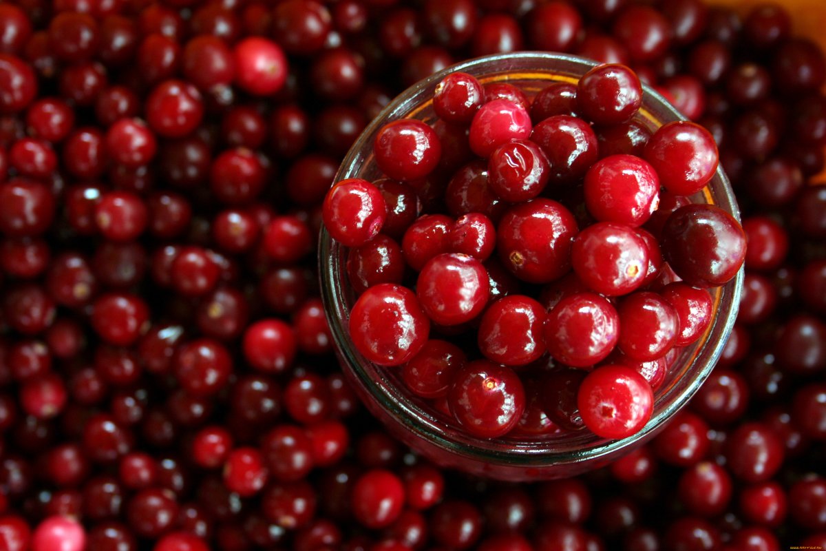Cranberries ягода