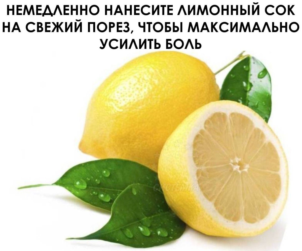 Проект про лимон