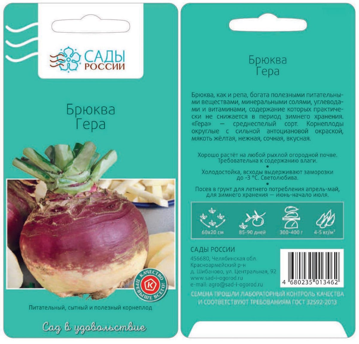 Брюква Brassica napobrassica