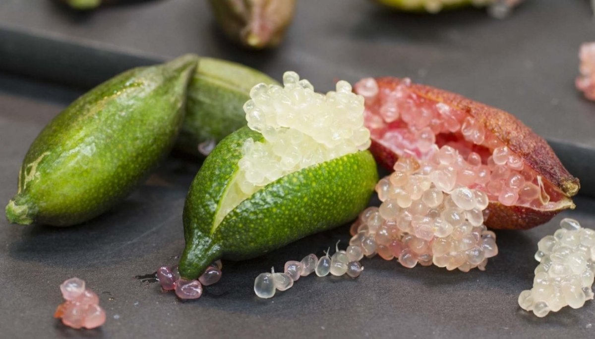 Австралийский пальчиковый лайм (finger Lime)
