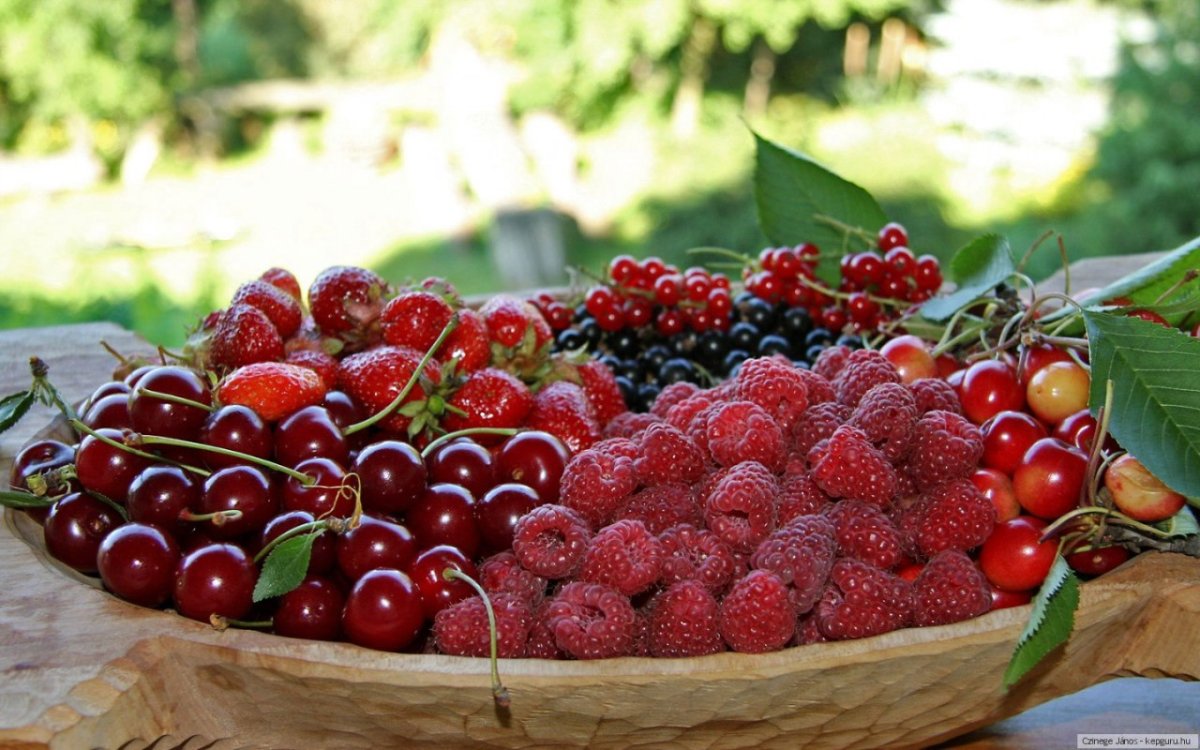 Клубника, малина, вишня, крыжовник (ягоды)