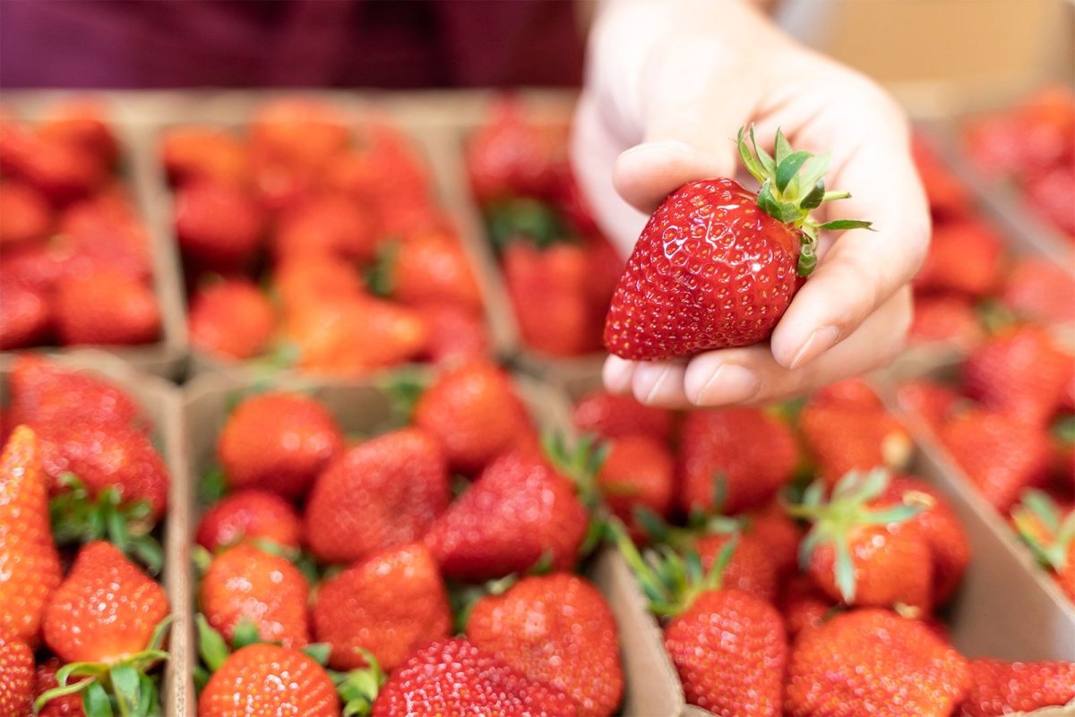 Strawberry package