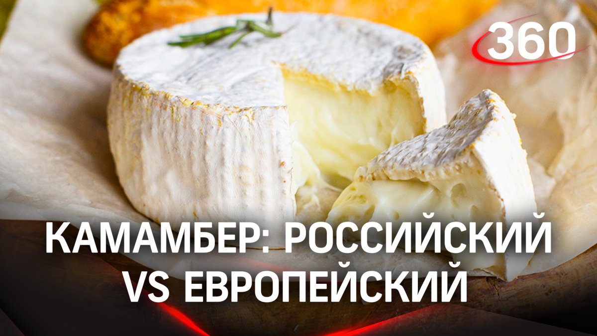 Камамбер с плесенью
