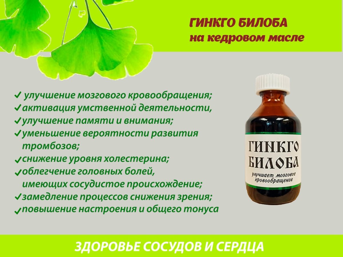 Гинка двулопастная