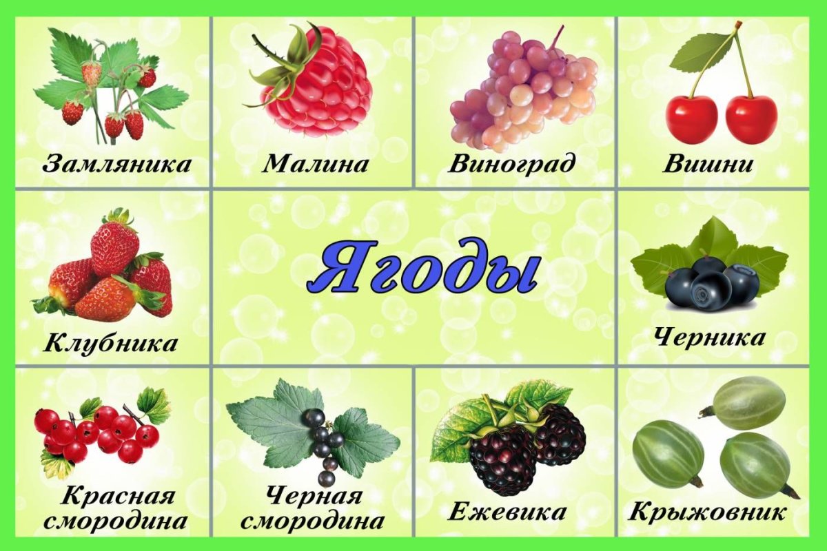 Ягоды названия