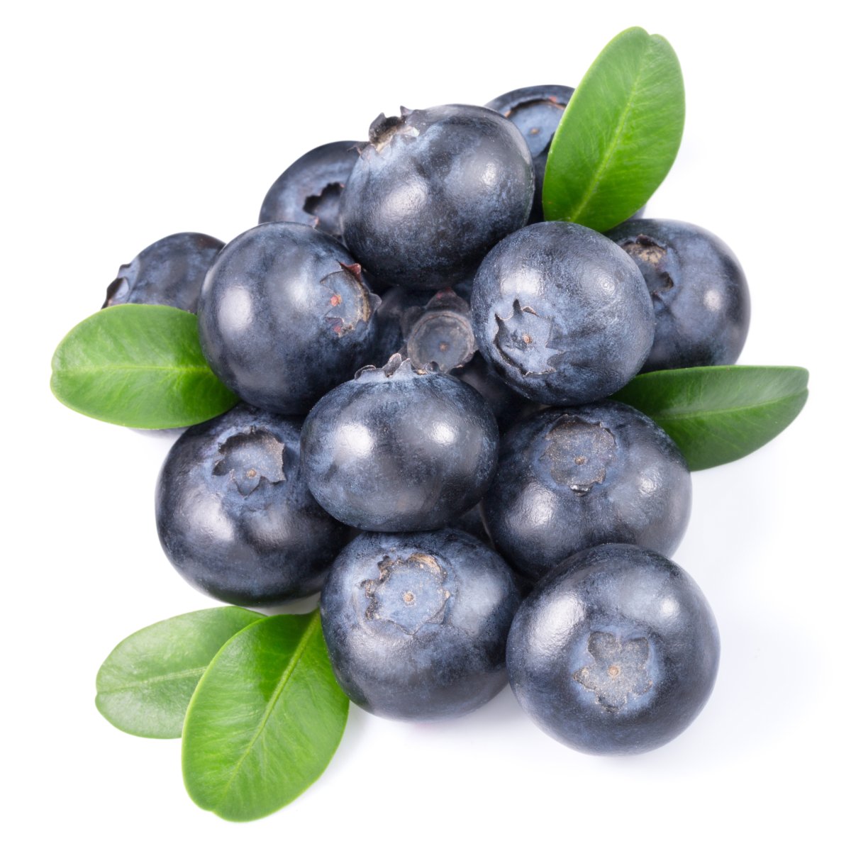 Blueberry Blackcurrant 1800 под