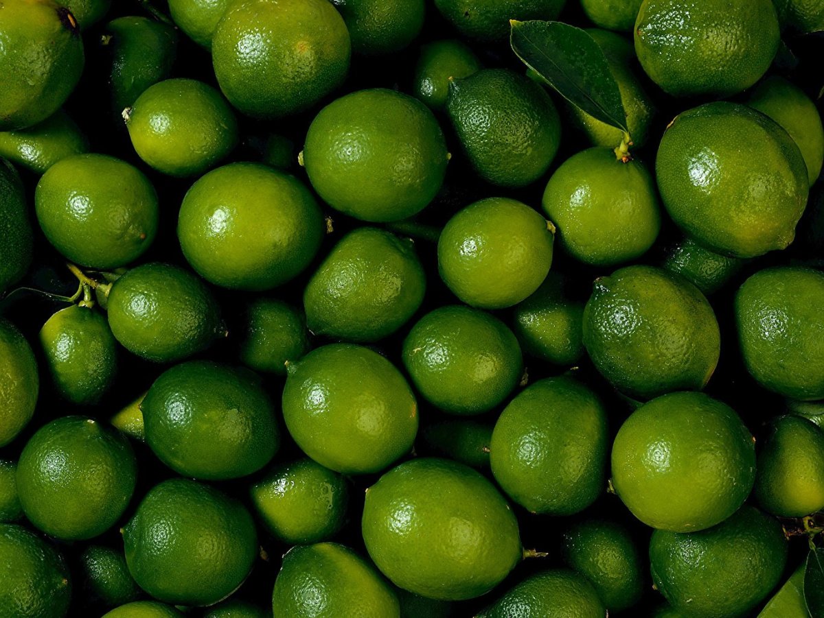 Лайм фрукт