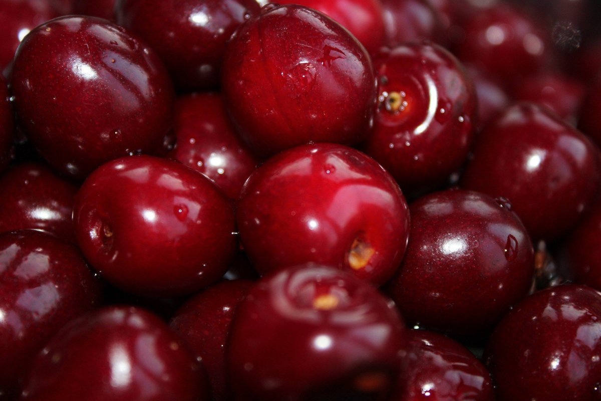 Вишня "Red Cherry"