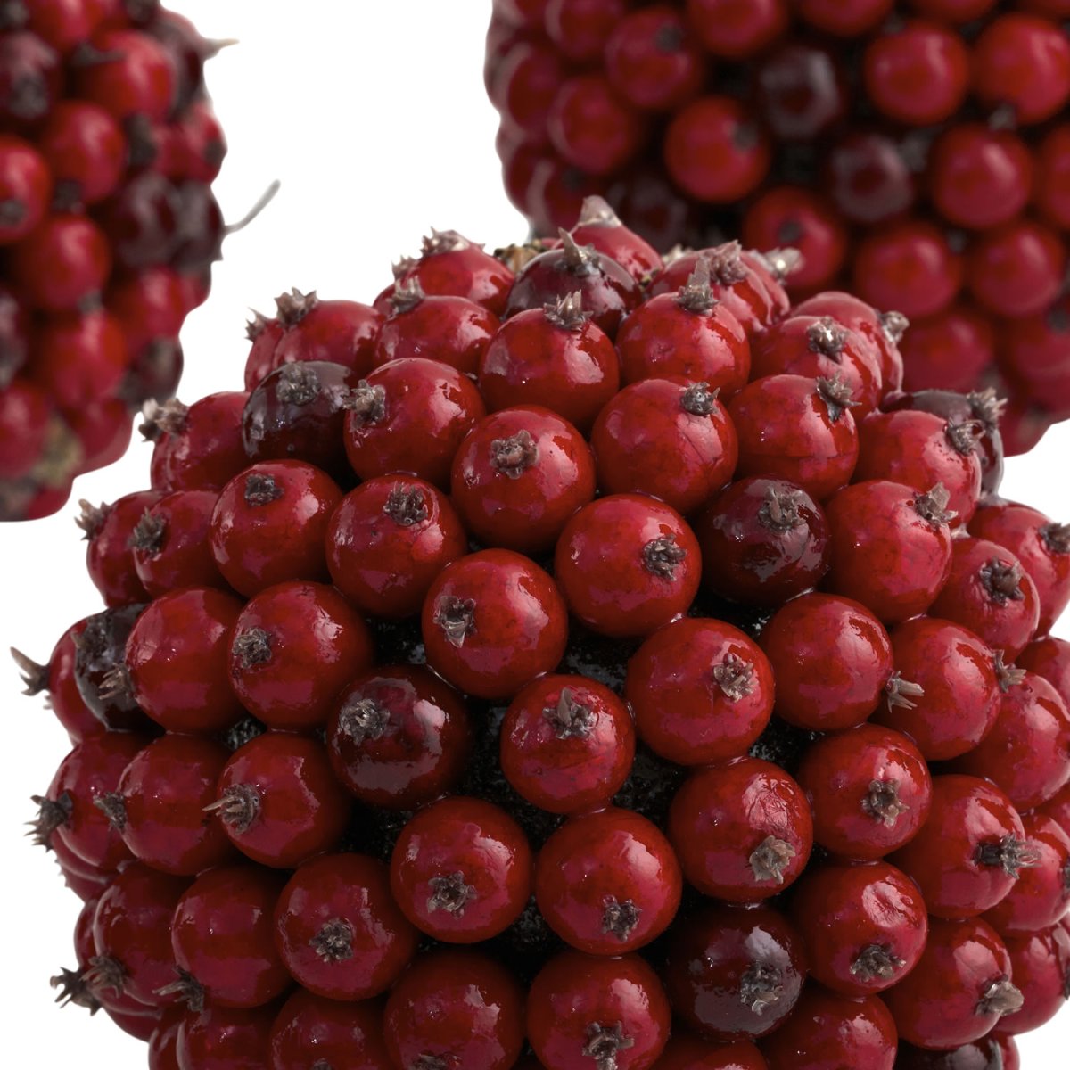Swiss Red Berry