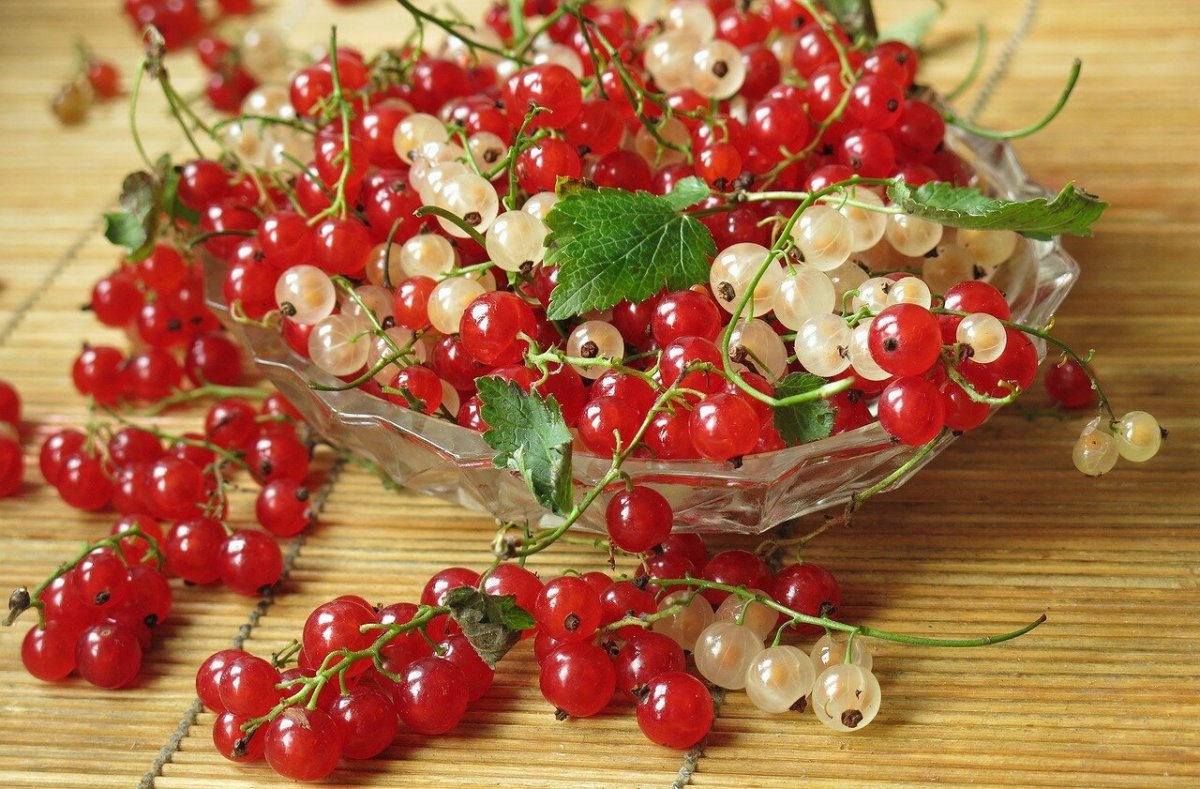 Красивая белая смородина
