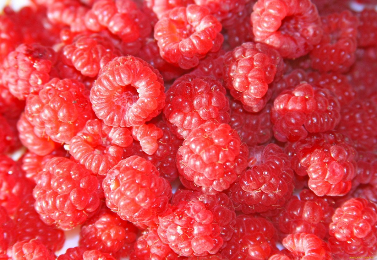 Malina tekstura