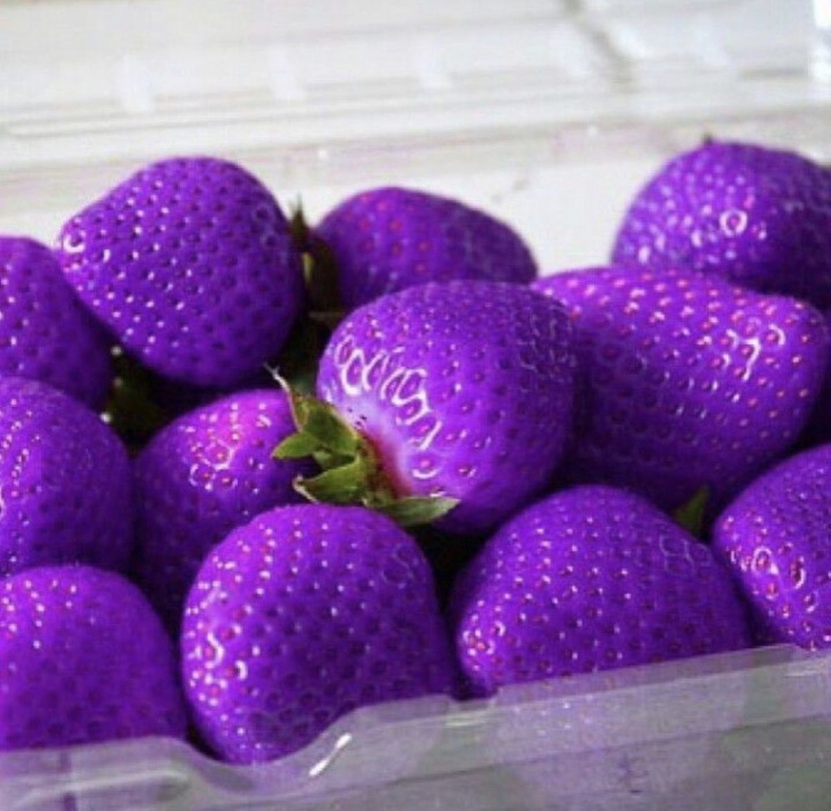 Фиолетовая клубника