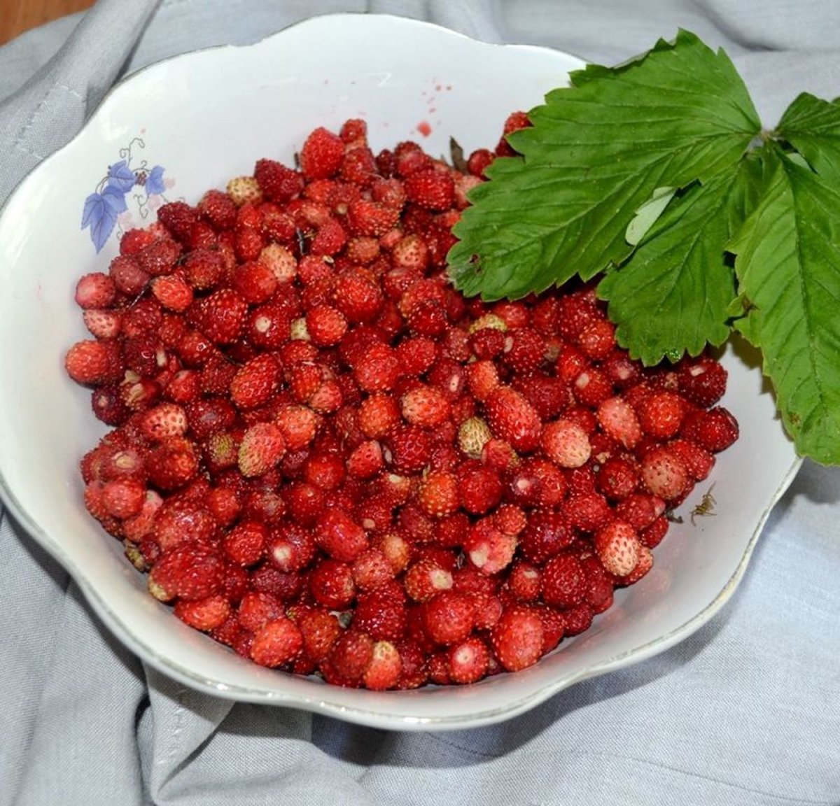 Клубника Морошка