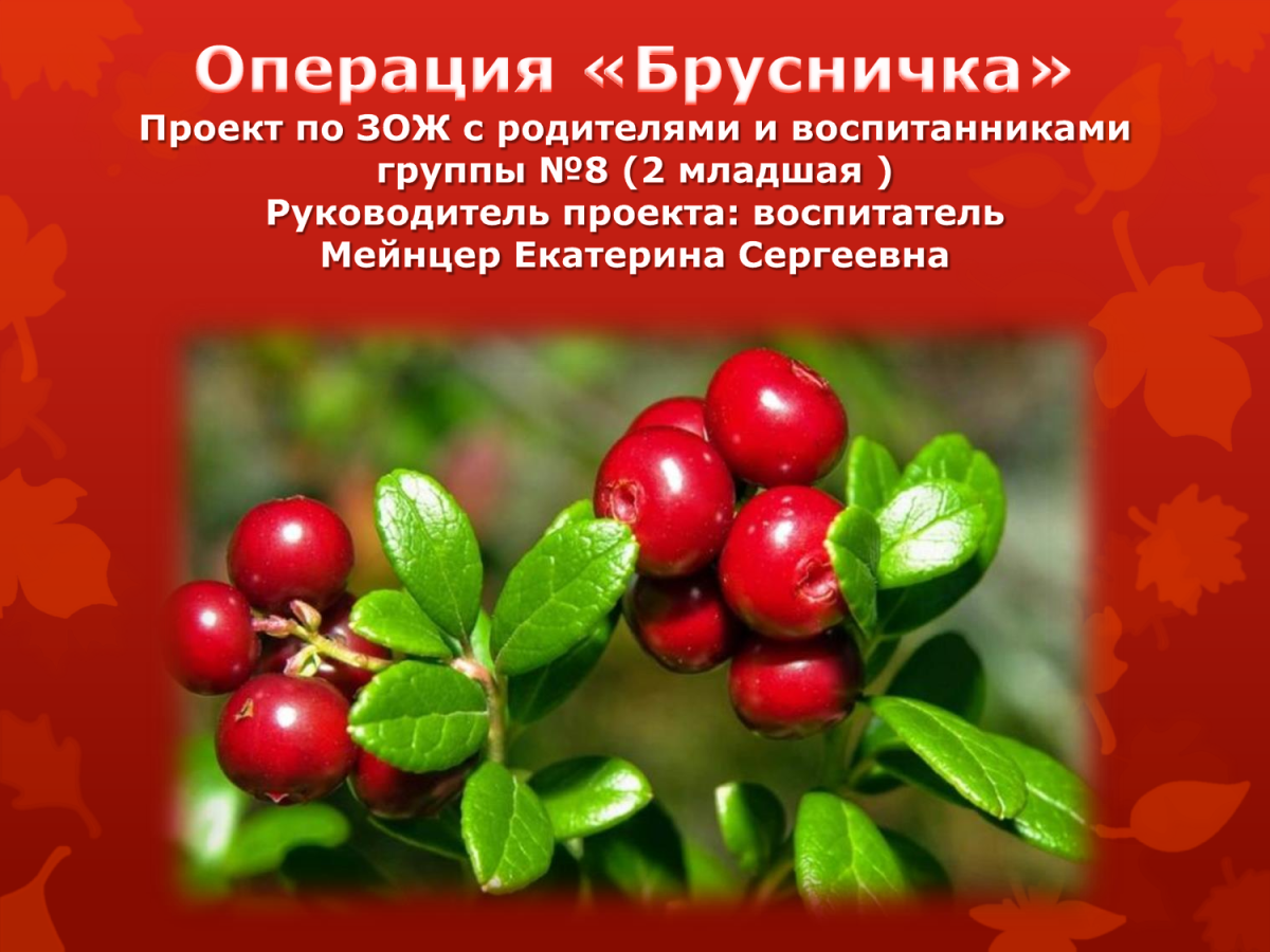 Презентация группы Брусничка