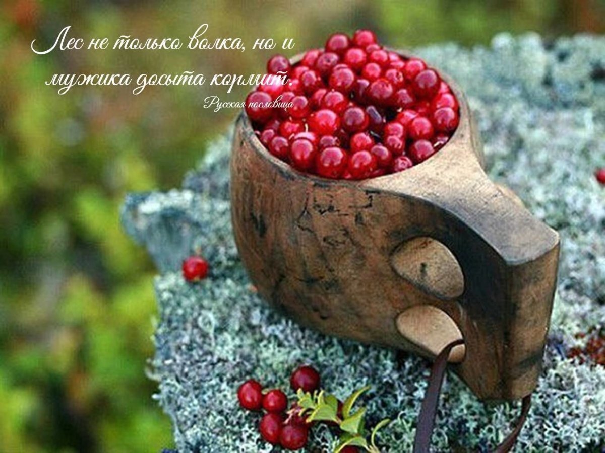 Дары Карелии клюква