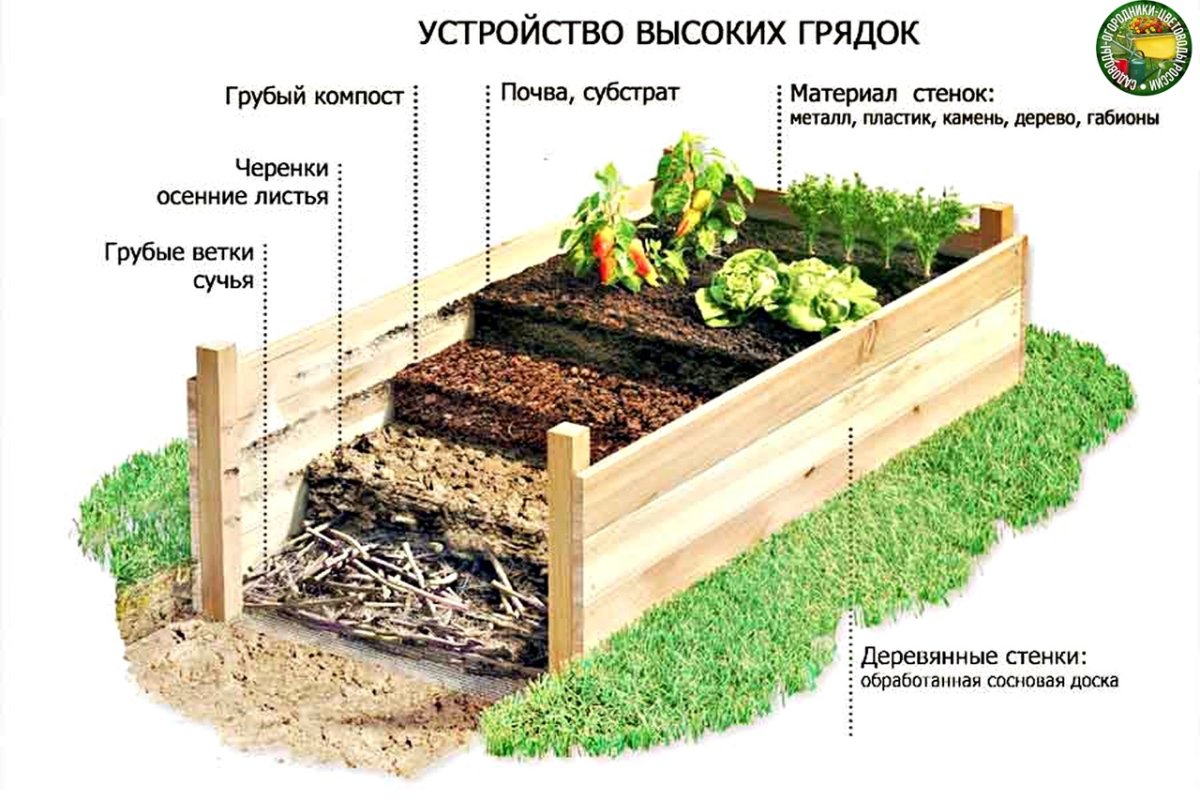 Высокие грядки заполнение послойно