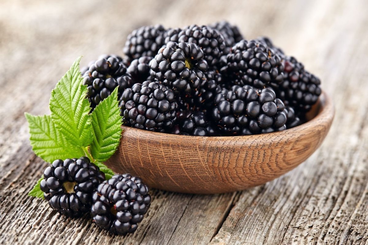 BLACKBERRY ежевика