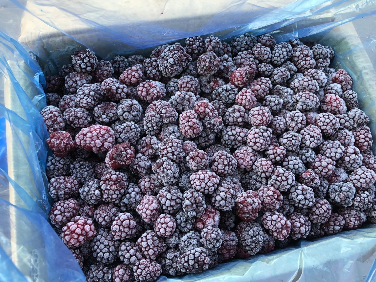 Ежевика замороженная
