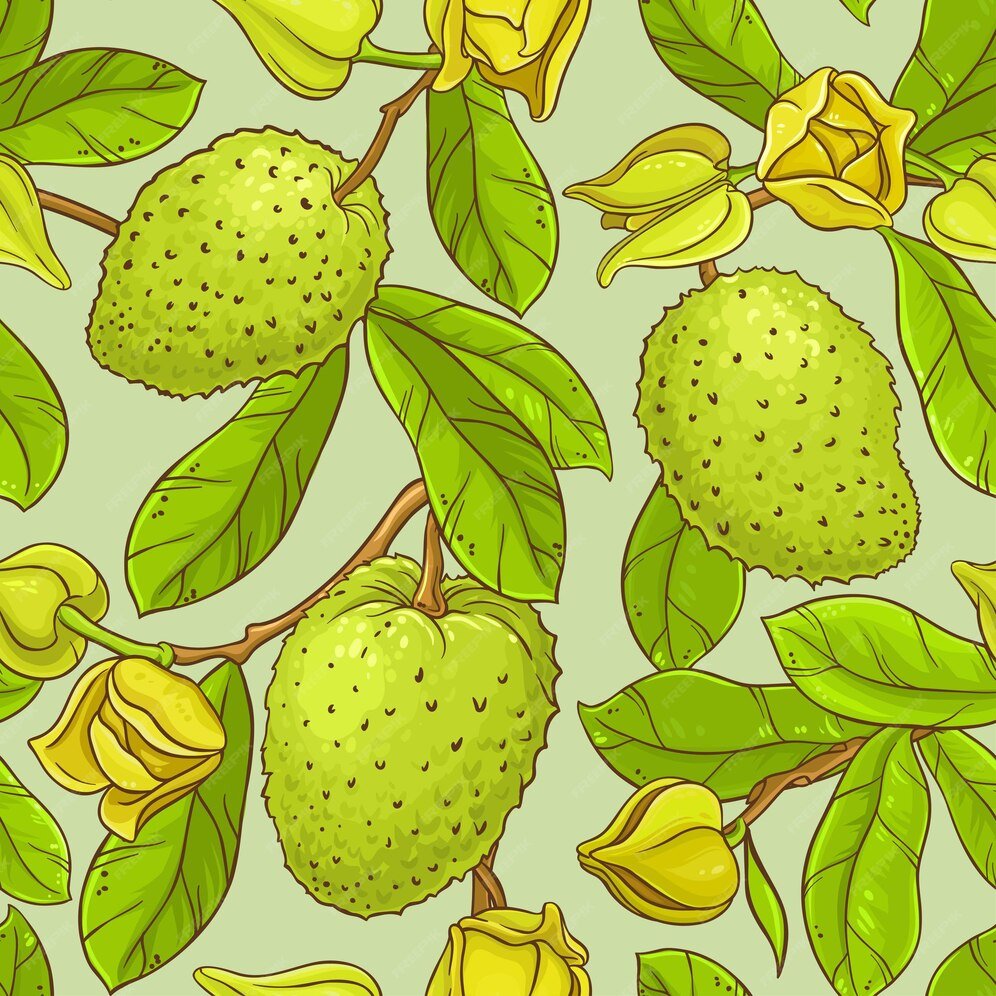 Soursop vector