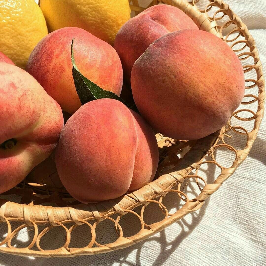 Fruit Core aesthetic