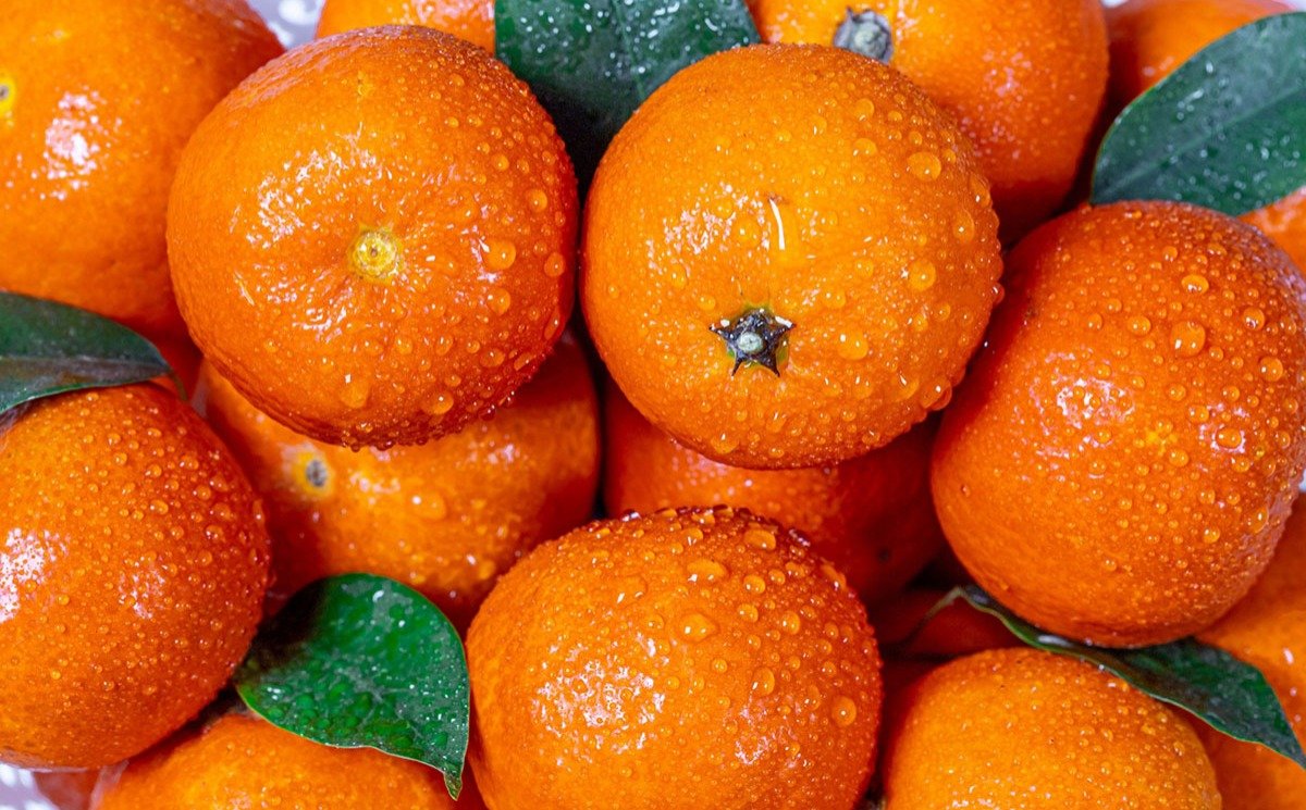 Tangerine Танжерин