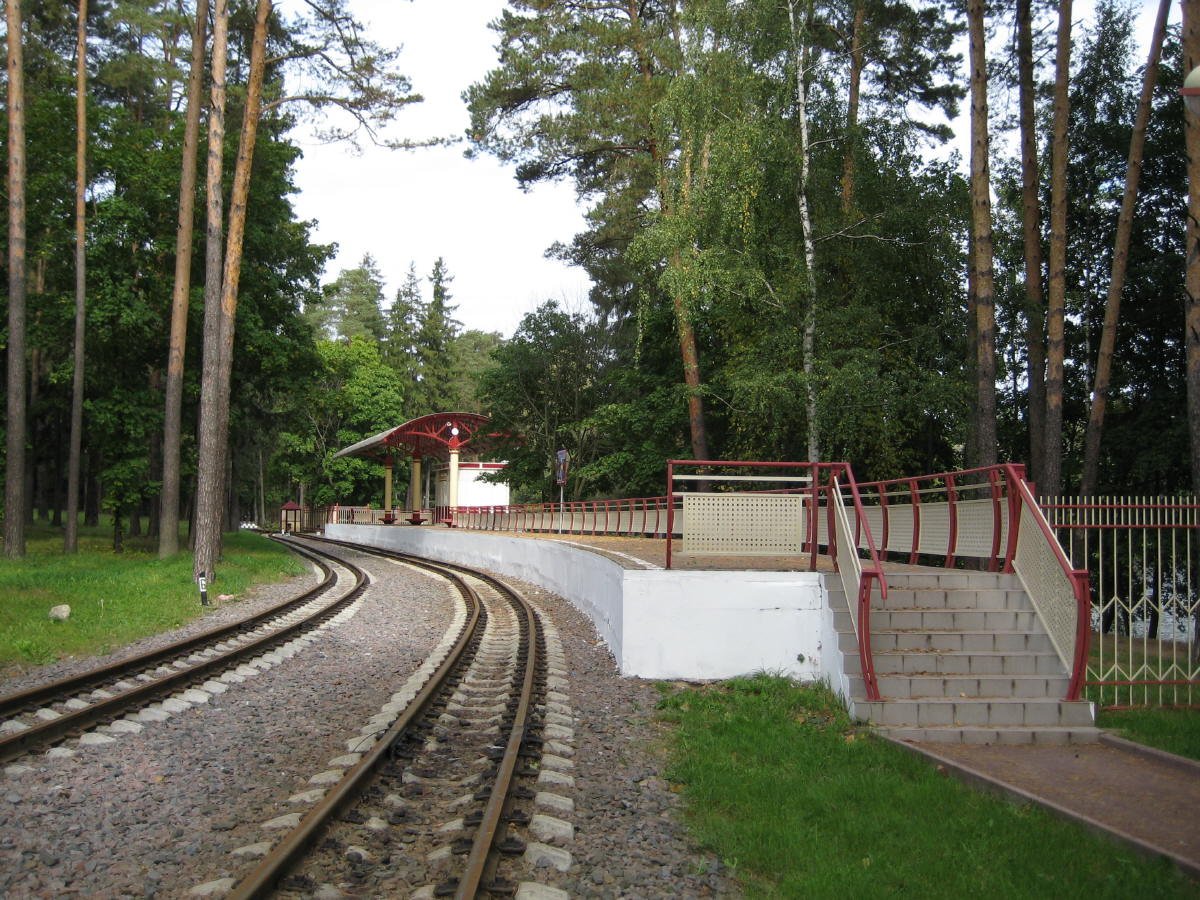 Поселок Кратово Московская