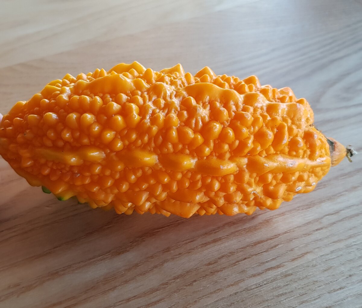 Момордика семена