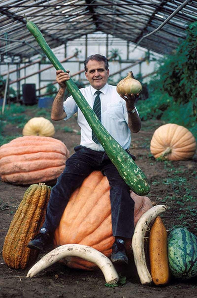 Самые большие овощи