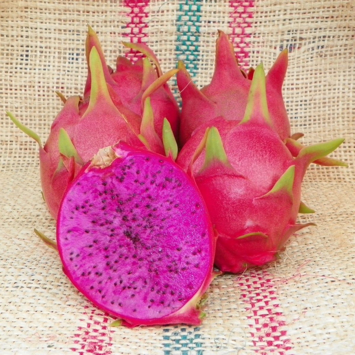 Клубника питайя