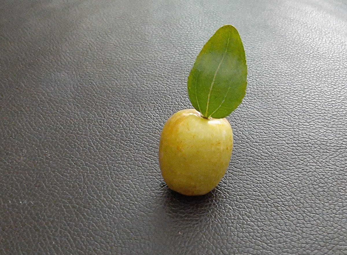 Ziziphus Jujuba маски