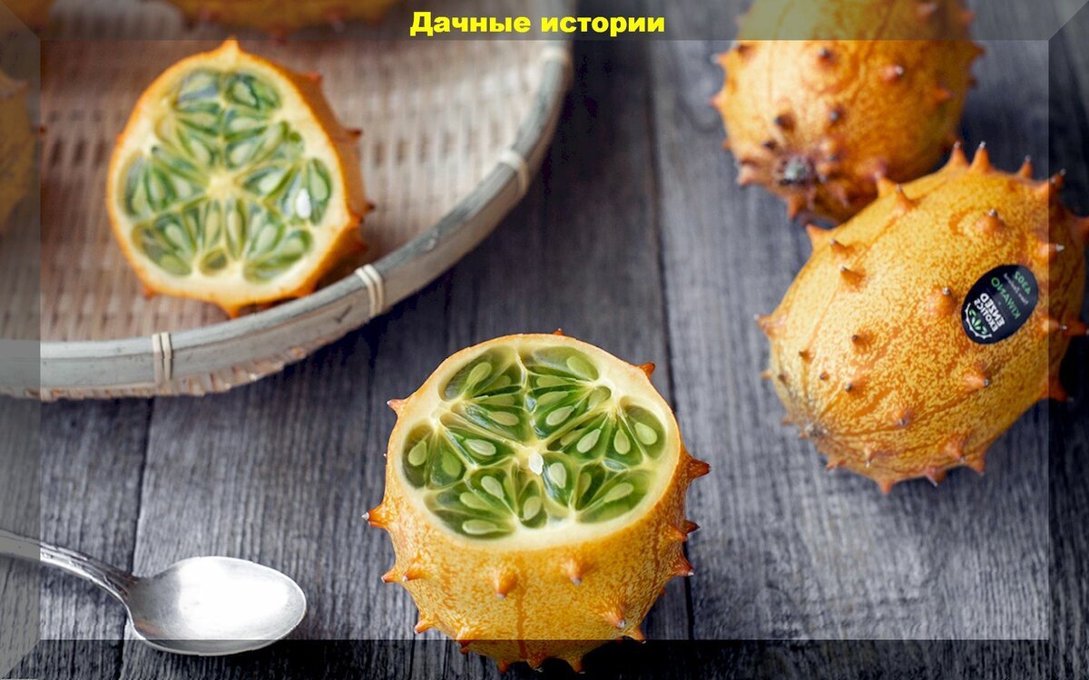 Экзотическая трава