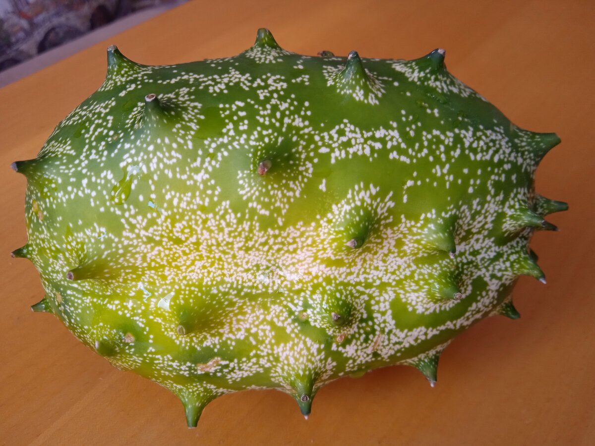 Кивано листья