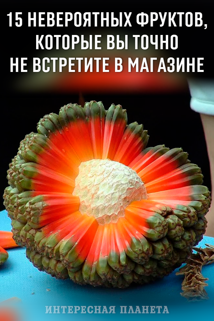 Экзотические овощи