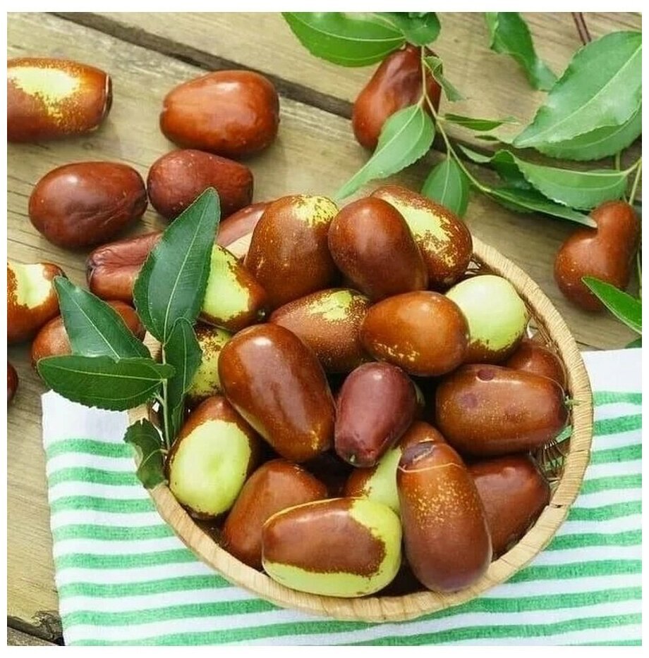 Финик унаби