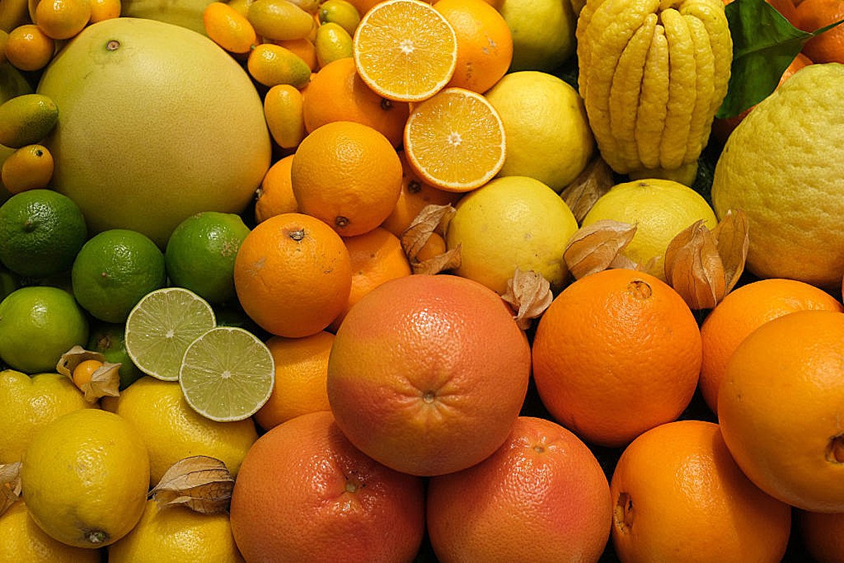 National Oranges and Lemons Day